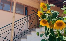 Bokas Exotic House