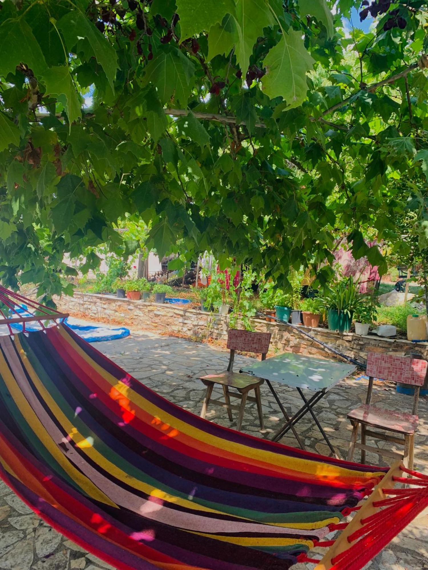 Bokas Exotic House Διαμέρισμα Tragana  Εξωτερικό φωτογραφία