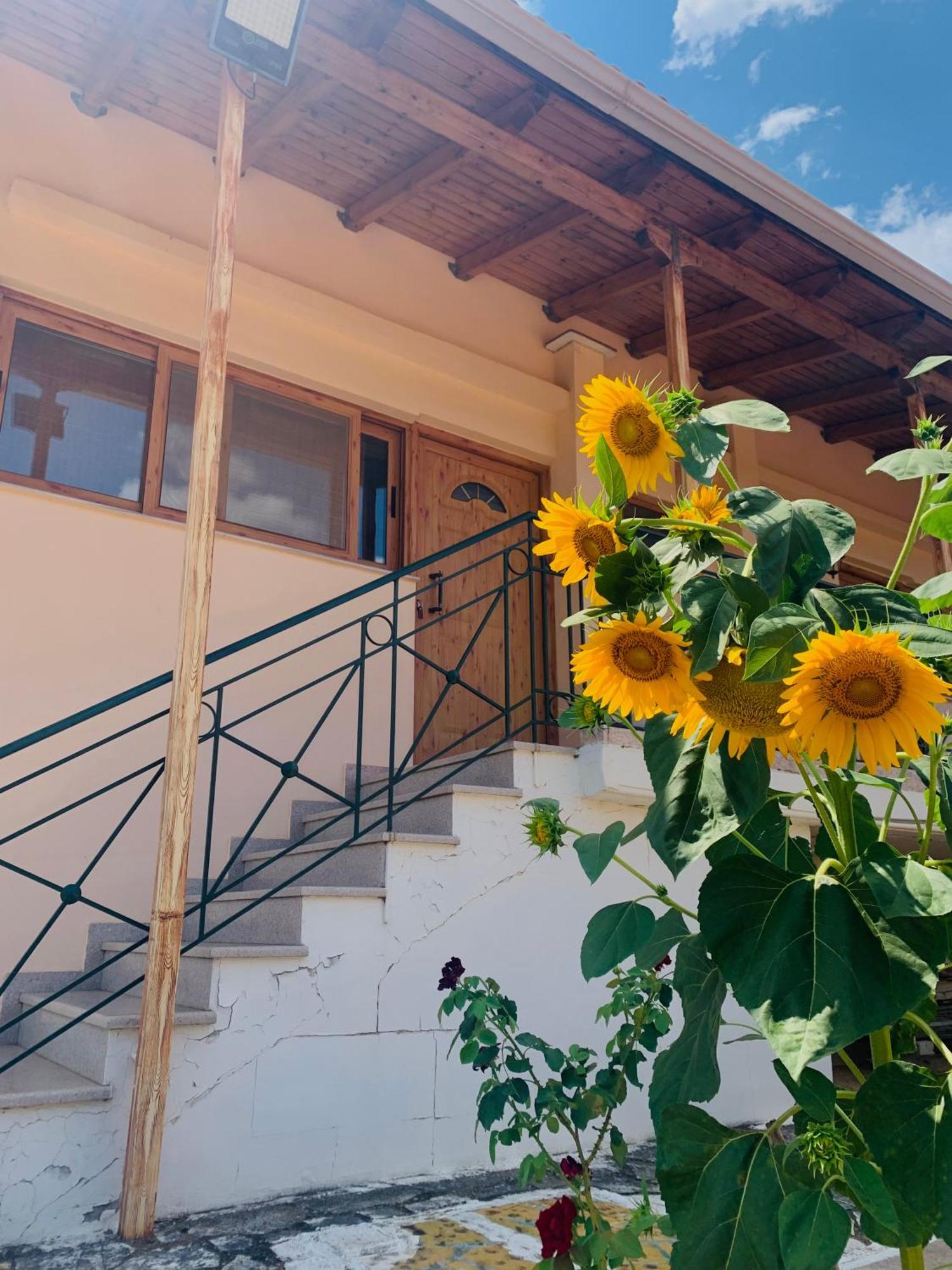 Bokas Exotic House Διαμέρισμα Tragana  Εξωτερικό φωτογραφία
